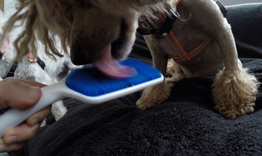 开云电竞:伊斯科:之前很多重要的竞赛,我是没时机出场的(图3) 开云电竞中国