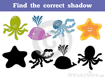 开云电竞官方网站