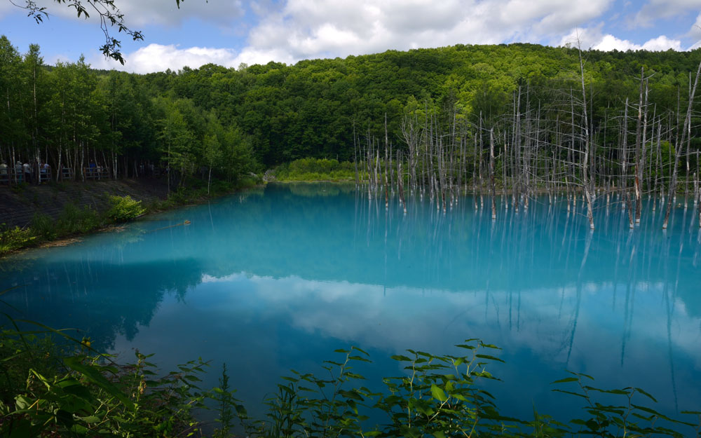开云电竞官方网站