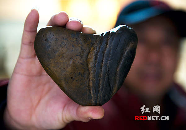 开云电竞官方网站