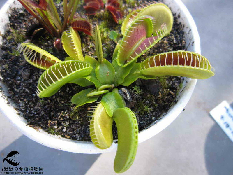 开云电竞官方网站