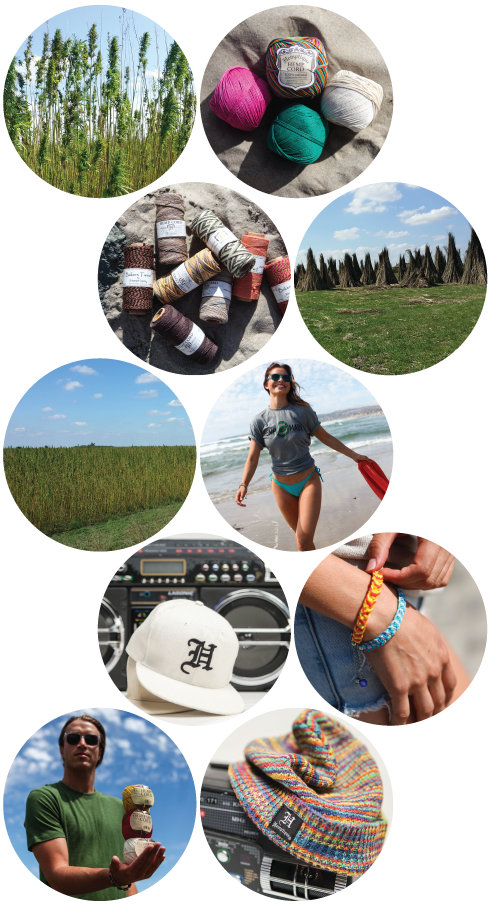 开云电竞官方网站